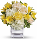 Sweetest Sunrise Bouquet - Yellow & White Mixed Cube from Olney's Flowers of Rome in Rome, NY